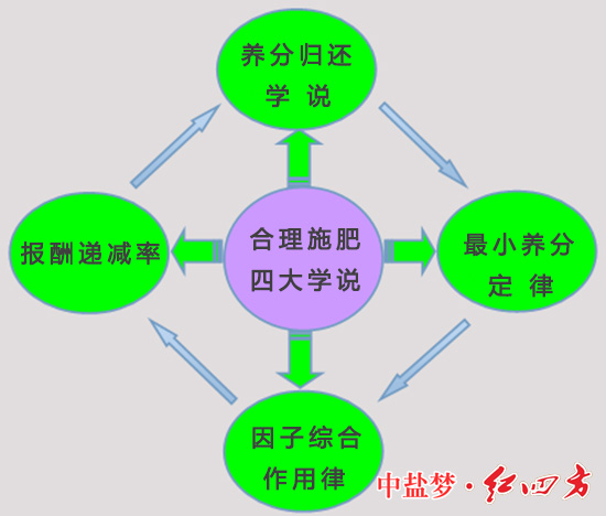 作物種植合理施肥四大學(xué)說