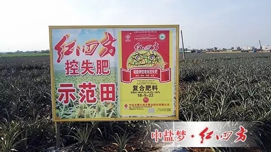 我們決定對高塔肥料南方包裝袋的縫合方式進(jìn)行改進(jìn)，目前客戶反饋的信息非常良好，連帶著銷售積極性都增強(qiáng)許多。