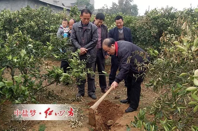 長期過量施用化肥，會(huì)致使土壤質(zhì)量低下，現(xiàn)階段按需施用化肥是一方面，合理利用有機(jī)資源，用有機(jī)肥替代部分化肥，實(shí)現(xiàn)有機(jī)無機(jī)相結(jié)合，用耕地內(nèi)在養(yǎng)分替代外來化肥養(yǎng)分投入。